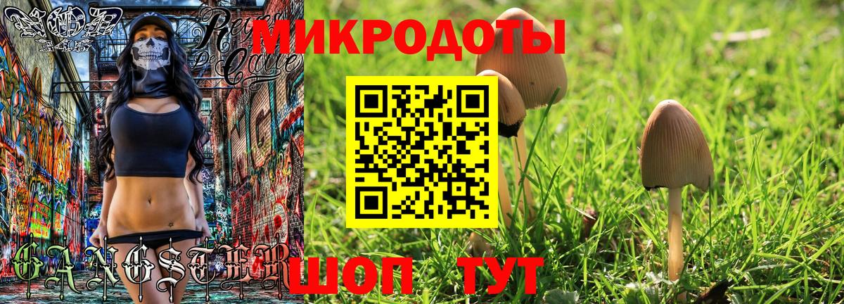 Лобня  как найти наркотики  Галлюциногенные грибы Psilocybe  Вход с VPN  Галлюциногенные грибы Psilocybe 